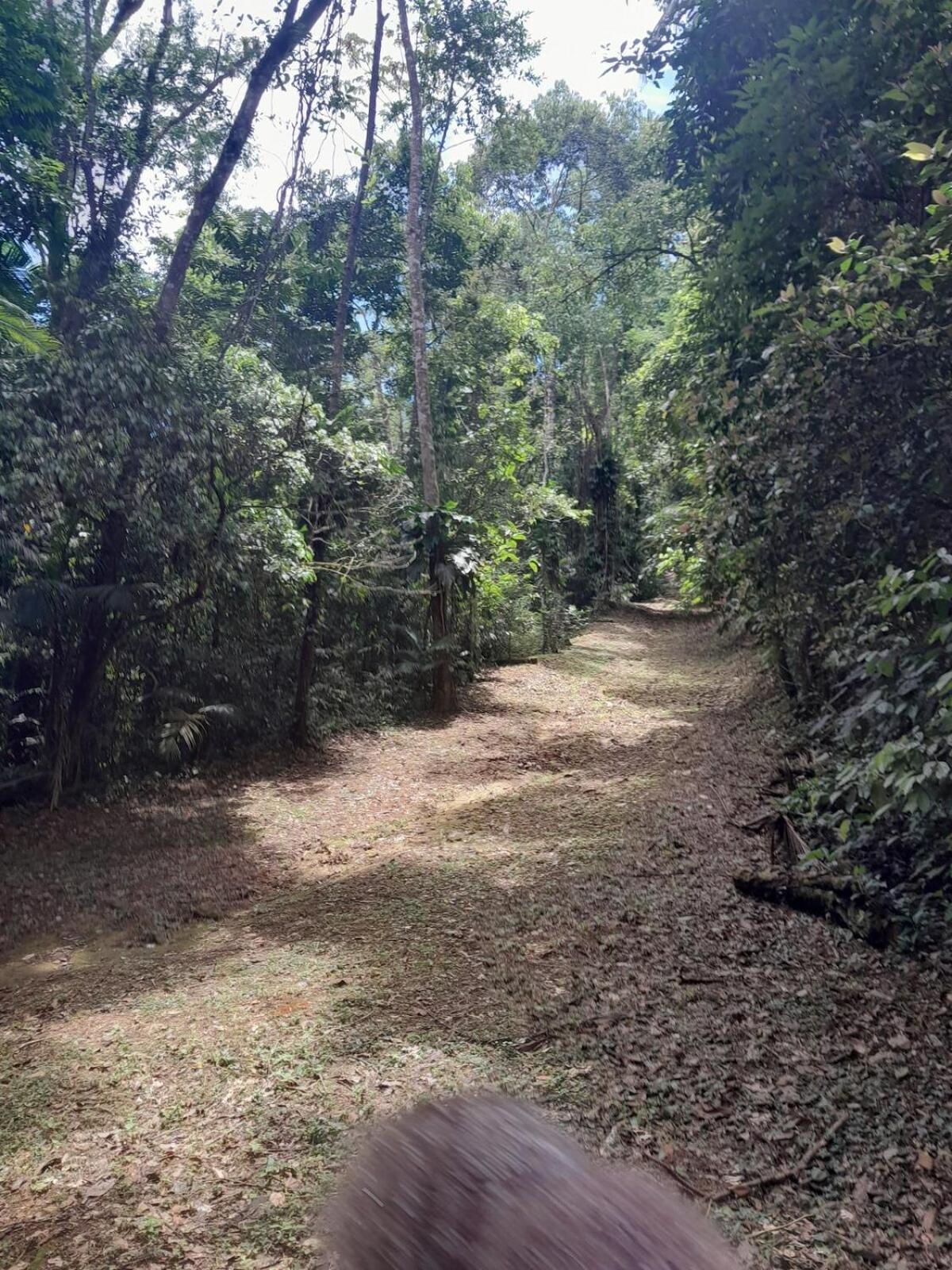 Casa Dura -ubatuba-sp